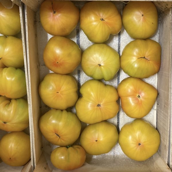 Tomate Ananas nouvelle vaglio
