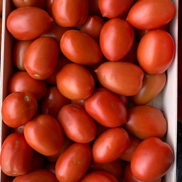 Tomate roma nouvelle vaglio