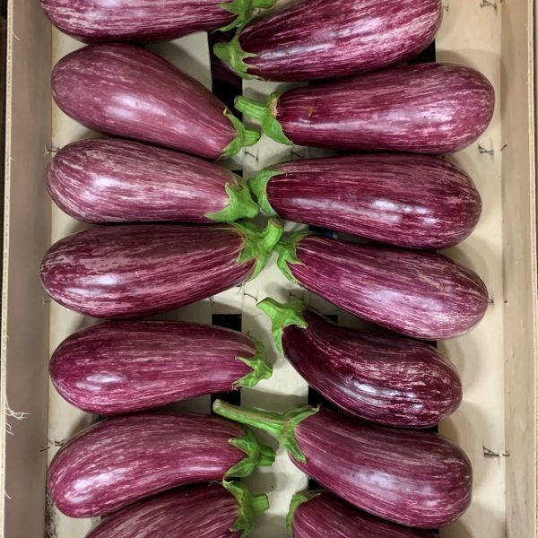 Aubergine Arlequins nouvelle vaglio