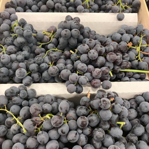 Raisin Lavallée nouvelle vaglio