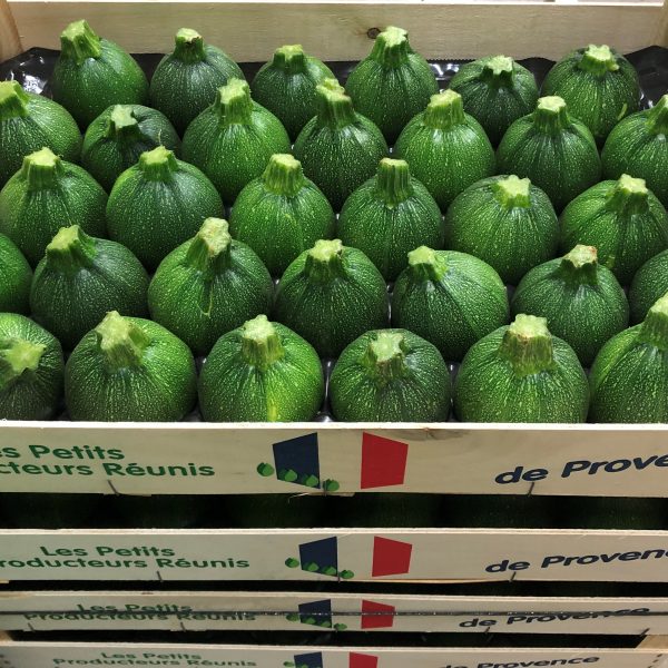 Courgette ronde verte