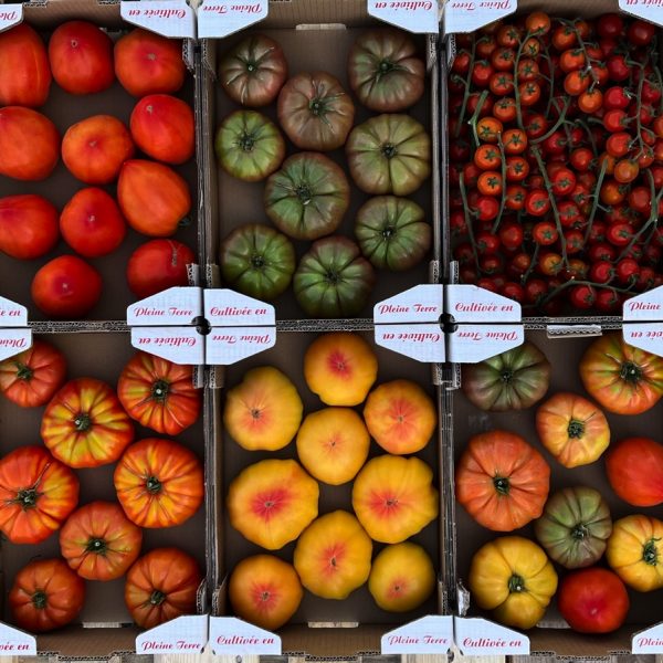 Tomate mélange