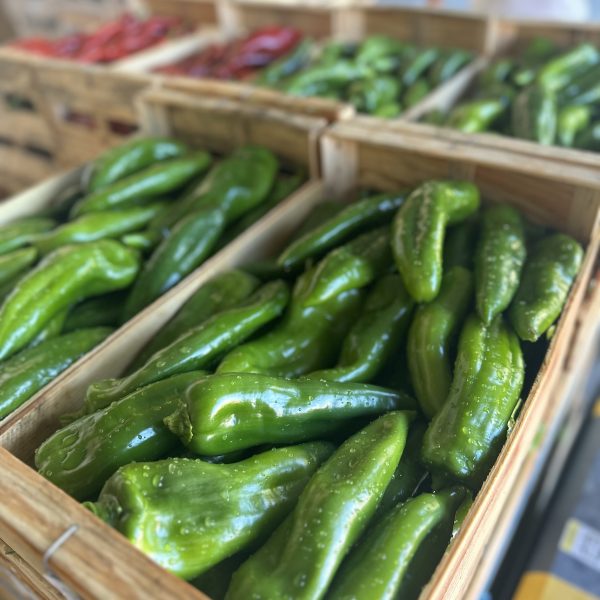 poivrons corne de bœuf vert nouvelle vaglio