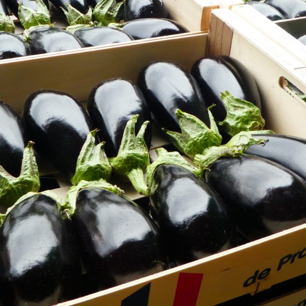 Aubergine nouvelle vaglio