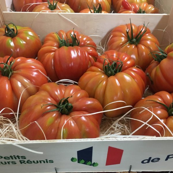 Tomate marmande nouvelle vaglio