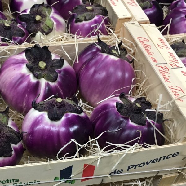 Aubergine ronde violette nouvelle vaglio