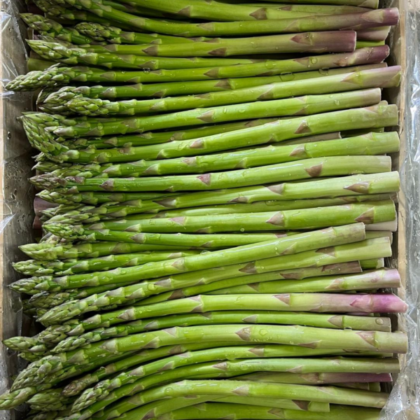 Asperge verte Nouvelle vaglio