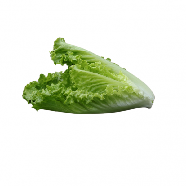 Salade Rougette Nouvelle vaglio