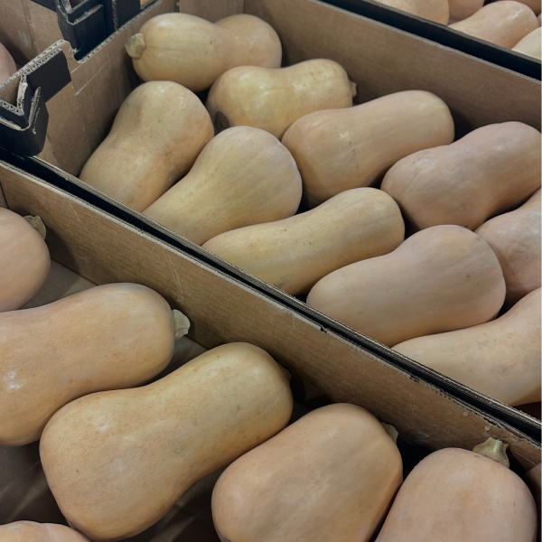 Butternut Nouvelle vaglio