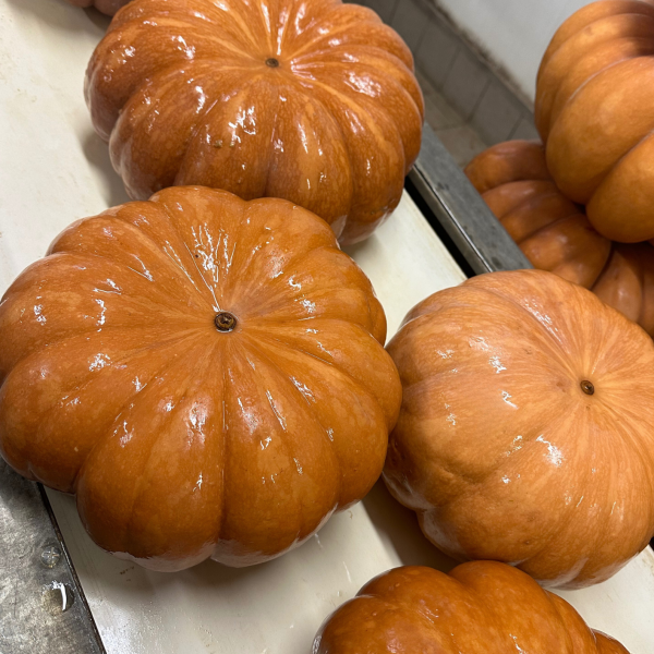 Courge muscade Nouvelle vaglio